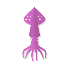 Squid vector flat illustration isolated on white background. Fresh seafood flat icon.
