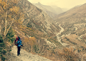 Female trekker on path through birch forest.