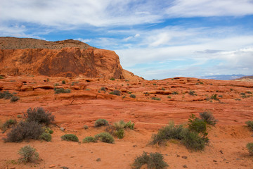 Amazing colors and shape of the Fire Wave rock