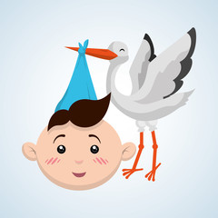 Baby shower design. invitation design.  isolated illustration