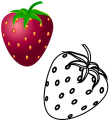 Coloring Strawberry sample