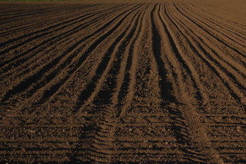 furrows in a field agriculture, soil