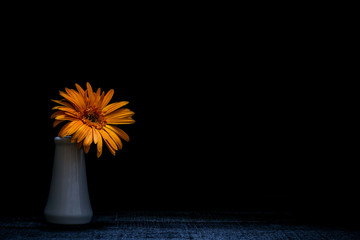 Still life vase with flowers Black background,flower background,