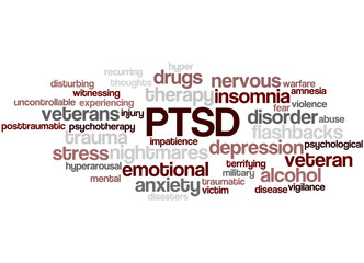 Posttraumatic Stress Disorder - PTSD, word cloud concept 2