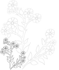 Hand drawn ink pattern. Coloring book for adult