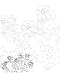 Hand drawn ink pattern. Coloring book for adult