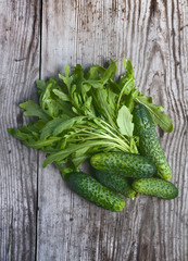 fresh cucumbers and arugula on the wooden table, rustic style