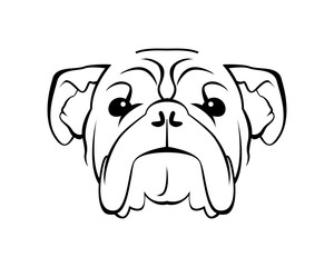Dog Breed Line Art Logo - Bulldog