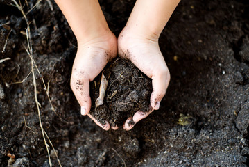 Black soil in hand