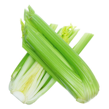 Bunches of Celery Stalk