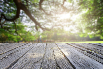 Fototapeta premium The landscap background retouch vintage style in park