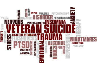 Veteran Suicide, word cloud concept 4