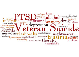 Veteran Suicide, word cloud concept 5