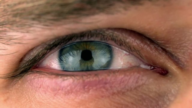 Closeup Of An Blue/Green Eye
