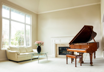 Bright daylight living room with grand piano