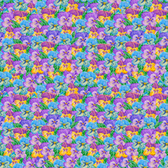 A field of pansies