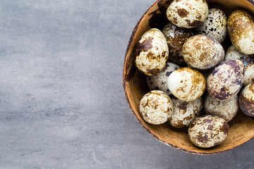 Quail eggs in the nest, a symbol of spring.