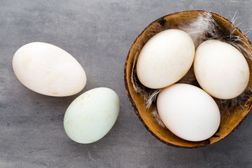  Duck eggs on a cage gray background.