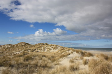 Dunes at Terschelling Island