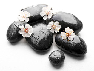 Fototapeta na wymiar Heap of spa hot stones and flowers isolated on white