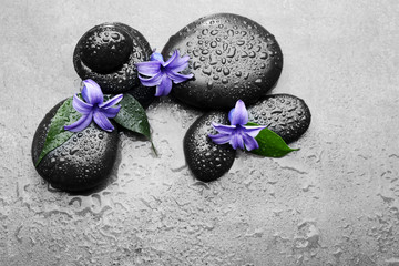 Heap of spa hot stones and flowers  on grey background