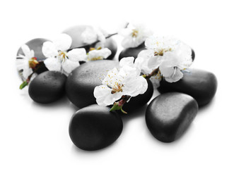 Fototapeta na wymiar Spa stones with blooming branch on white background