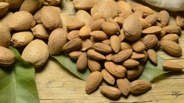 M&egrave;nnula Ametlla Amande Almond Migdały Mandorla &Alpha;&mu;ύ&gamma;&delta;&alpha;&lambda;&omicron; Mandle Aminte plod Ametlles Almendra Amandel noot አልመንድ Mandorle Almendras Mandľa semeno Almonds Ametla Prunus