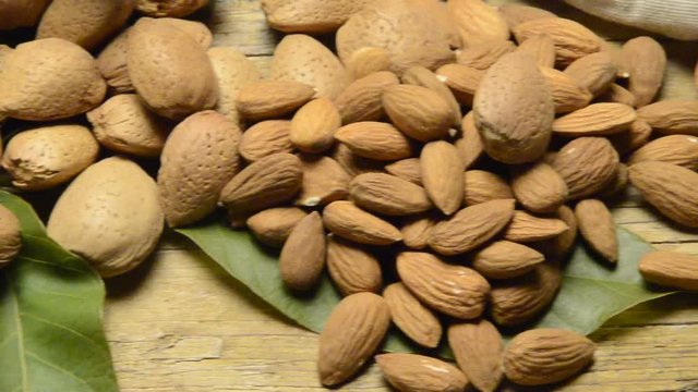 M&egrave;nnula Ametlla Amande Almond Migdały Mandorla &Alpha;&mu;ύ&gamma;&delta;&alpha;&lambda;&omicron; Mandle Aminte plod Ametlles  Almendra Amandel noot አልመንድ Mandorle Almendras Mandľa semeno Almonds Ametla