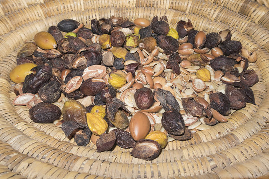 Argan seeds at different stages. It is used for cosmetic and food. It is considered the gold of Morocco.