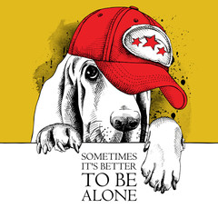 The image dog Basset Hound portrait in the cap. Vector illustration.