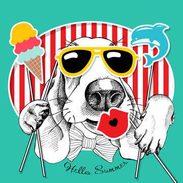 Festive poster with the portrait of the dog Basset Hound with the summer photo booth props. Vector illustration.
