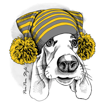 Basset Hound dog in a Hat with pom-pom. Vector illustration.
