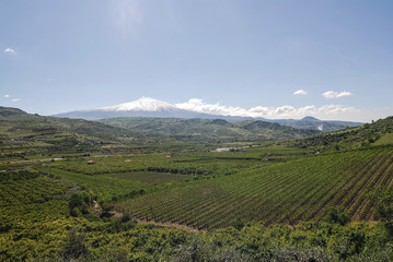 Fototapeta na wymiar Panorama vallta con vulcano Etna, valle verde
