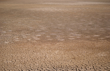 Naklejka premium terra seca