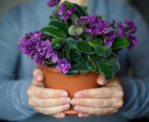 Woman holding a pot of violet