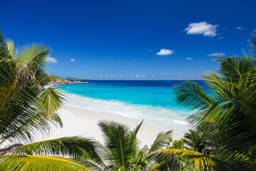 Fototapeta na wymiar Idyllic beach in Seychelles