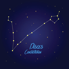 Fototapeta na wymiar Pisces Stars Constellation