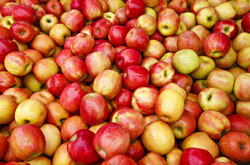 Fresh organic apples at a local farmers market.