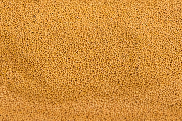 spices mustard pictures taken close-up