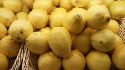 Freshly picked lemons in basket