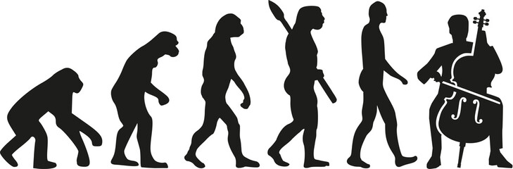 Cello evolution