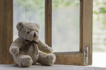 Teddy bear sit and waiting at the window.