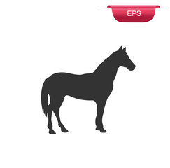 horse silhouette vector, icon, farm animal,  vector illustration