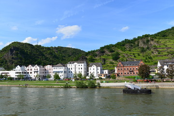 Fototapeta na wymiar Burg Katz in St. Goarshausen am Rhein