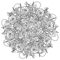 still life coloring book antistress style