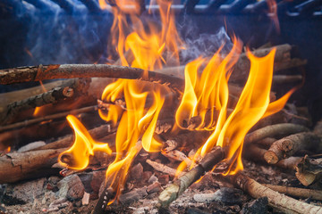 wood and fire in camp on the nature