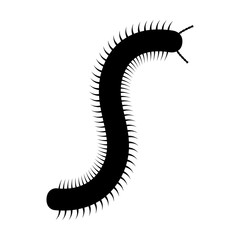 Millipede flat icon for nature apps and websites