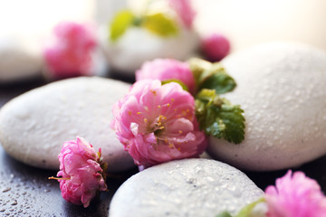 Fototapeta na wymiar Spa stones and pink flowers, closeup