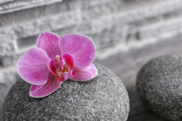 Beautiful composition of pebbles and orchid on grey background, close up