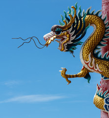 Head of Dragon on the blue sky